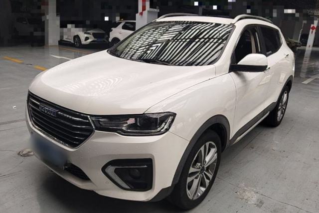 Used Haval H2s 2018 Blue Label 1.5T Dual-Clutch Luxury Model