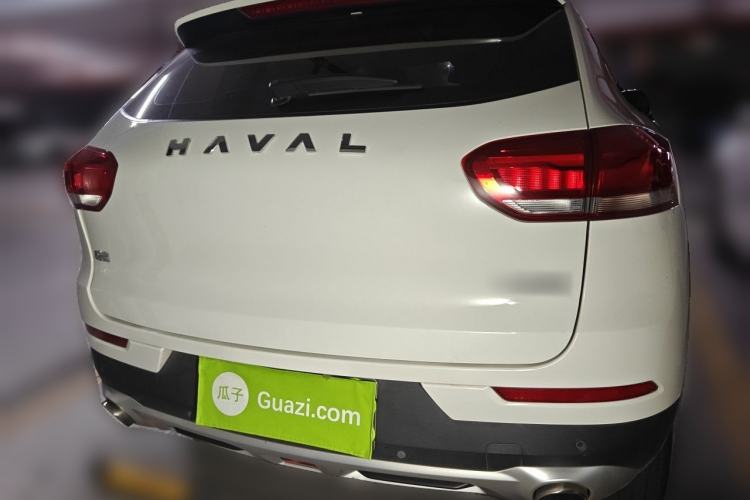 Used Haval H2s 2018 Red-Label 1.5T Dual-Clutch ZhiShang Model Rear
