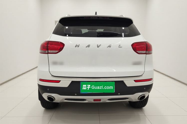 Used Haval H2s 2018 Red-Label 1.5T Dual-Clutch Luxury Model Rear