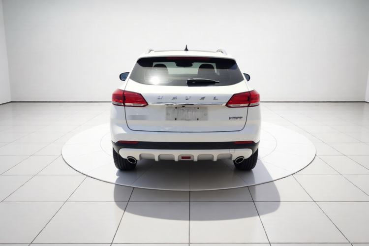 Used Haval H2s 2018 Blue Label 1.5T Dual-Clutch ZhiShang Model Rear