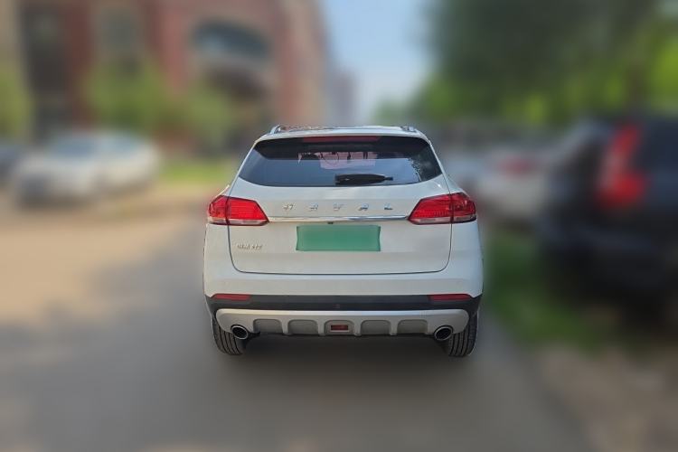 Used Haval H2s 2018 Blue Label 1.5T Dual-Clutch ZhiShang Model Rear