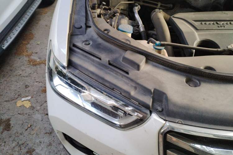 Used Haval H2s 2018 Red-Label 1.5T Manual Comfort Model Right Front Headlight