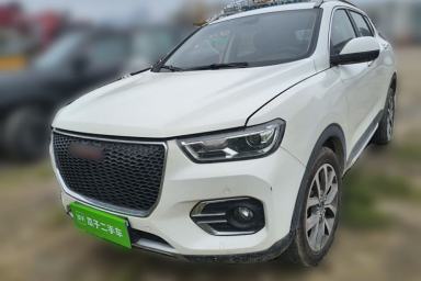 Used Haval H2s 2018 Red-Label 1.5T Dual-Clutch Luxury Model