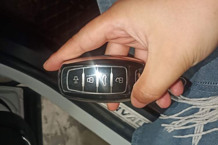 Used Haval H2s 2018 Red-Label 1.5T Dual-Clutch Luxury Model Vehicle Key