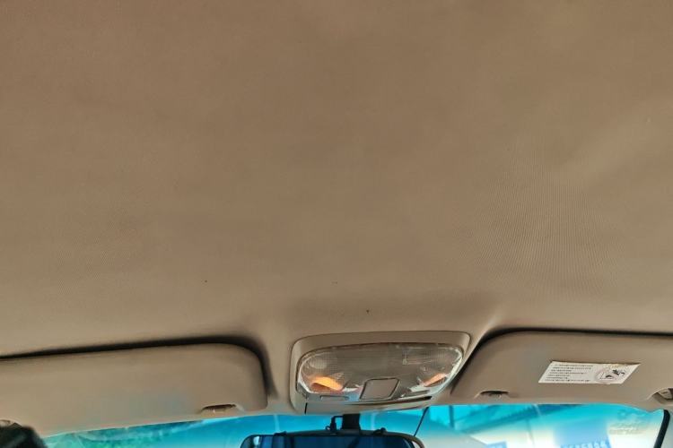 Used Haval H3 2010 Ruiyi Edition 2.0L Elite Model Headliner
