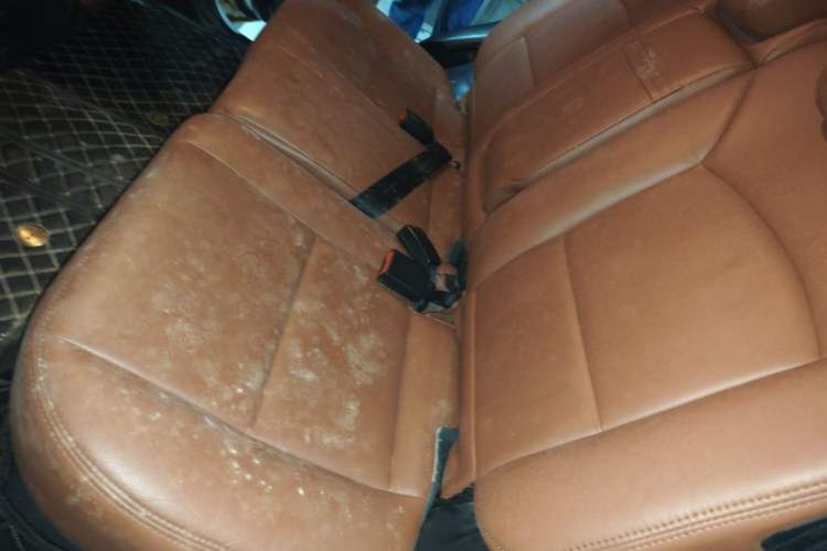 Used Haval H3 2012 2.5 TCI Two-Wheel-Drive Champion Edition Left Rear Seat