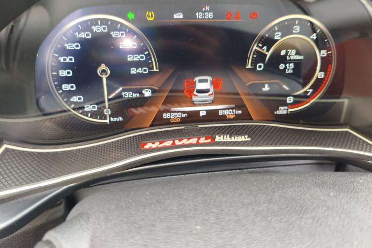 Used Haval H4 2018 Red-Label 1.5 GDIT DCT Fashion Edition Odometer Close Up