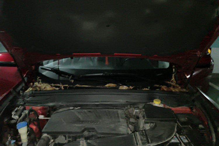 Used Haval H4 2018 Red-Label 1.5 GDIT DCT Fashion Edition Engine Bay