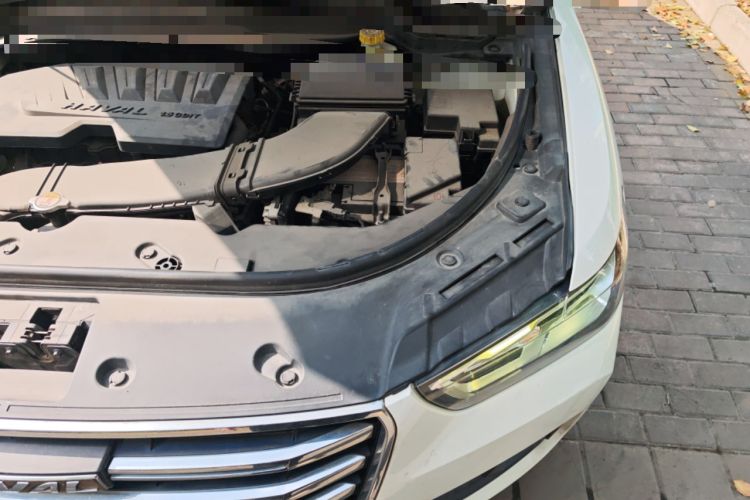 Used Haval H4 2018 Red-Label 1.5 GDIT DCT Fashion Edition Engine Bay Left