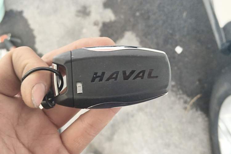 Used Haval H4 2018 Red-Label 1.5 GDIT DCT Fashion Edition Interior 1