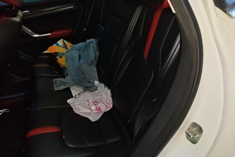 Used Haval H4 2018 Blue Label 1.5 GDIT DCT Fashion Edition Left Rear Seat