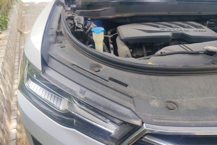 Used Haval H4 2018 Blue Label 1.5 GDIT DCT Fashion Edition Right Front Headlight