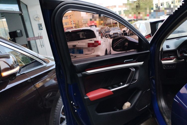 Used Haval H4 2019 Red-Label 1.5 GDIT DCT Luxury Smart Connectivity Model Left Front Door Interior
