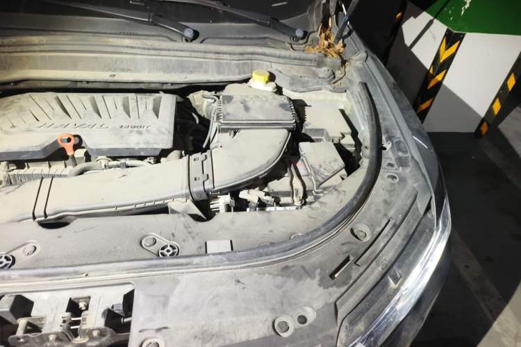 Used Haval H4 2019 1.5 GDIT Pro Version China VI Standard Engine Bay Left