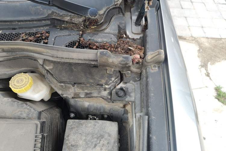 Used Haval H4 2019 1.5 GDIT Pro Version China VI Standard Engine Bay Left