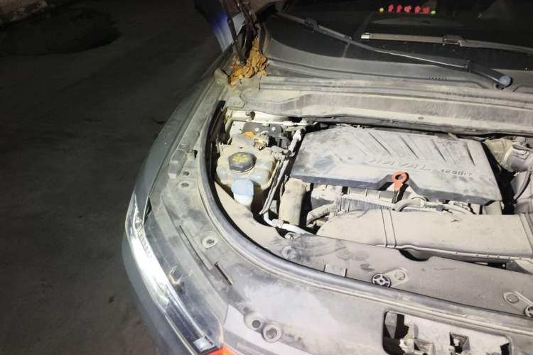 Used Haval H4 2019 1.5 GDIT Pro Version China VI Standard Engine Bay Right