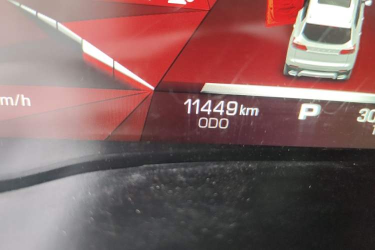 Used Haval H4 2019 1.5 GDIT Pro Version China VI Standard Odometer Close Up