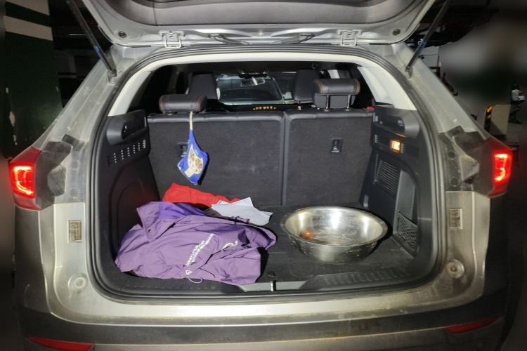 Used Haval H4 2019 1.5 GDIT Pro Version China VI Standard Trunk