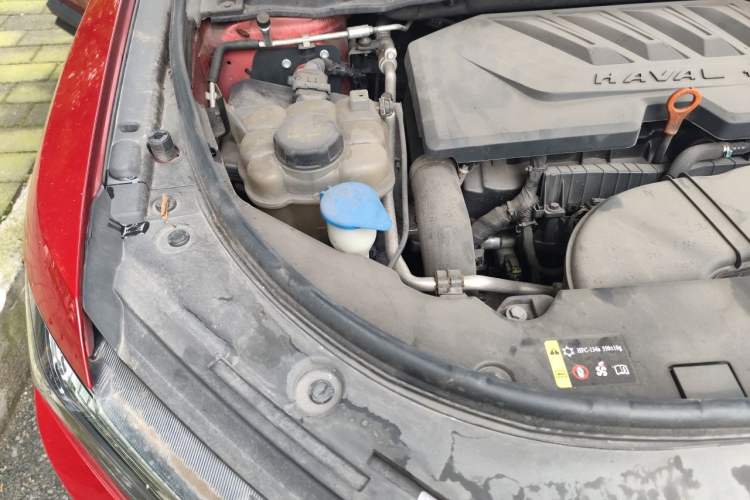 Used Haval H4 2019 1.5 GDIT DCT Luxury Smart Connectivity Version China VI Standard Engine Bay Right