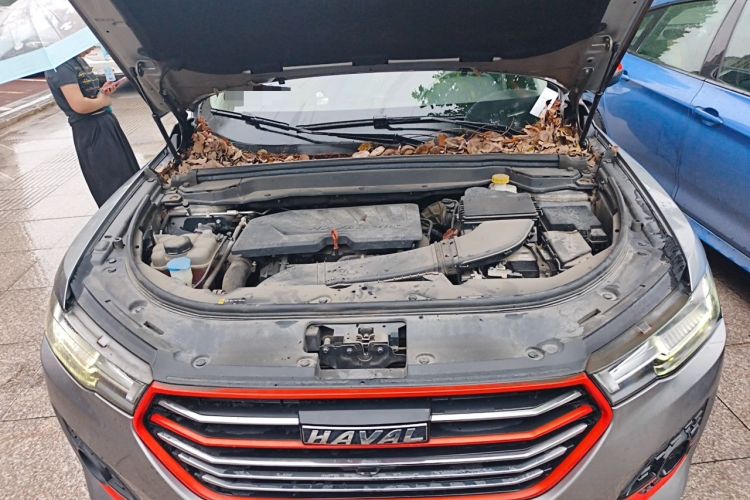Used Haval H4 2019 1.5 GDIT Pro Version China VI Standard Engine Bay