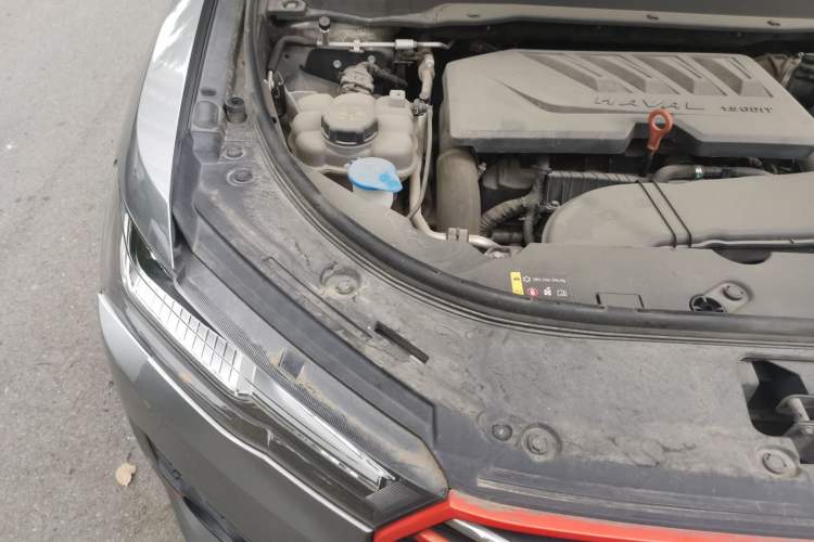 Used Haval H4 2019 1.5 GDIT Pro Version China VI Standard Engine Bay Right