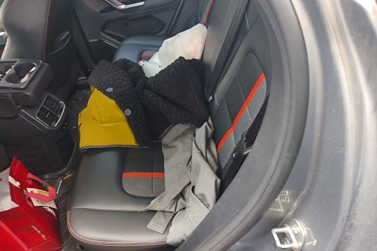 Used Haval H4 2019 1.5 GDIT Pro Version China VI Standard Left Rear Seat