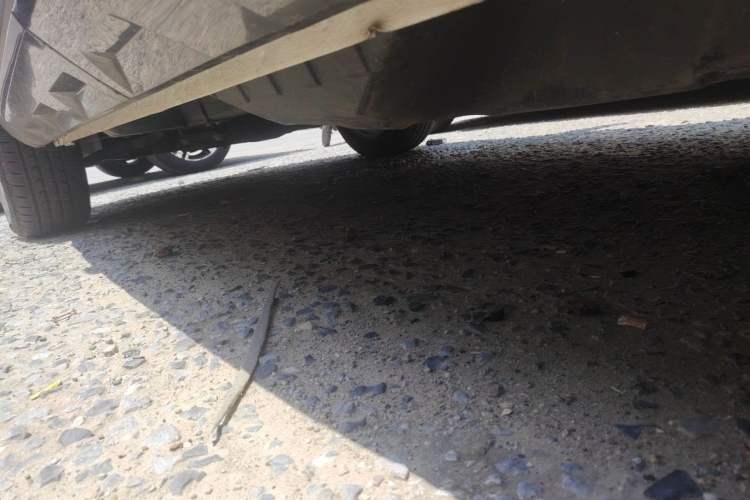 Used Haval H4 2019 1.5 GDIT Manual Luxury Smart Connect Version China V Standard Chassis Rear Left