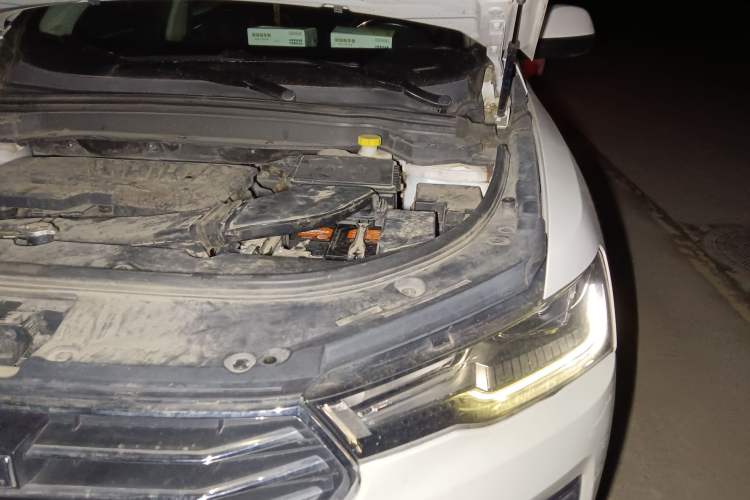 Used Haval H4 2019 1.5 GDIT Manual Luxury Smart Connect Version China V Standard Engine Bay Left
