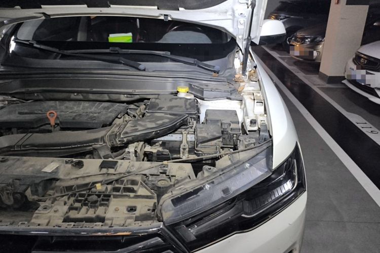 Used Haval H4 2019 1.5 GDIT DCT Luxury Smart Connectivity Version China VI Standard Engine Bay Left