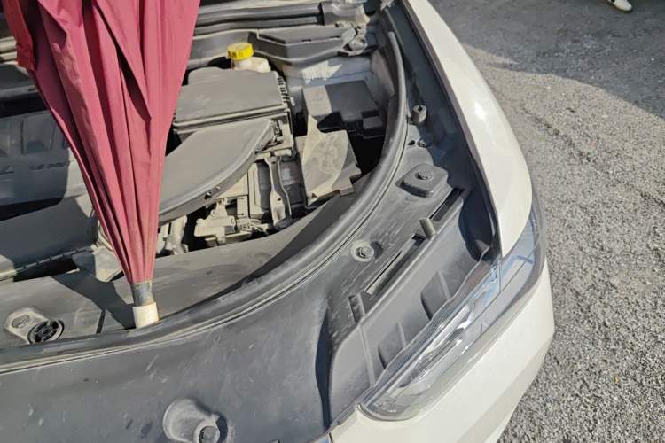 Used Haval H4 2019 Red-Label 1.5 GDIT DCT Luxury Smart Connectivity Model Engine Bay Left