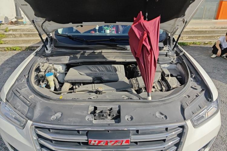 Used Haval H4 2019 Red-Label 1.5 GDIT DCT Luxury Smart Connectivity Model Engine Bay