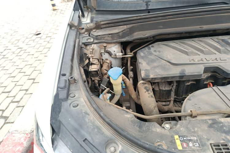 Used Haval H4 2019 1.5 GDIT Manual Elite Smart Connect Version China V Standard Engine Bay Right