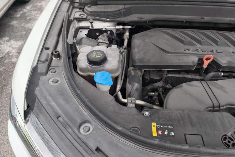 Used Haval H4 2019 1.5 GDIT DCT Luxury Smart Connectivity Version China VI Standard Engine Bay Right