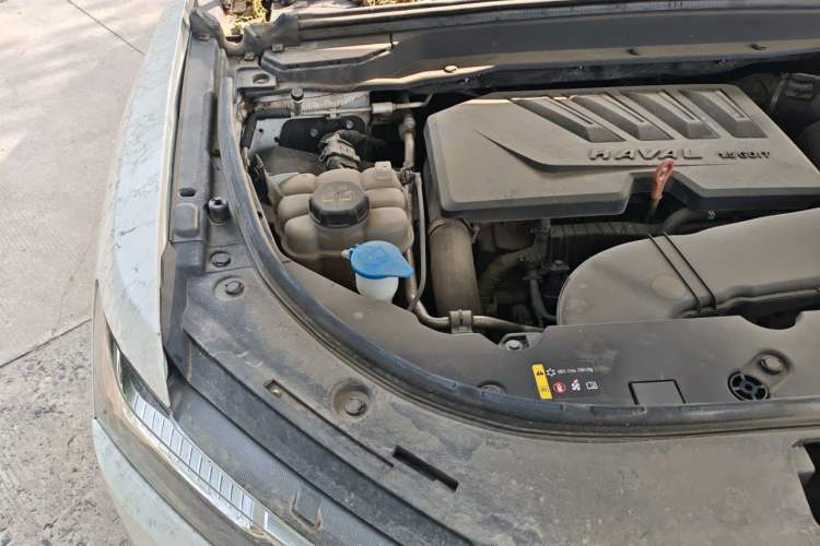 Used Haval H4 2019 1.5 GDIT DCT Luxury Smart Connectivity Version China VI Standard Engine Bay Right
