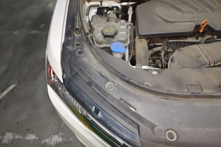 Used Haval H4 2019 1.5 GDIT DCT Luxury Smart Connectivity Version China VI Standard Engine Bay Right