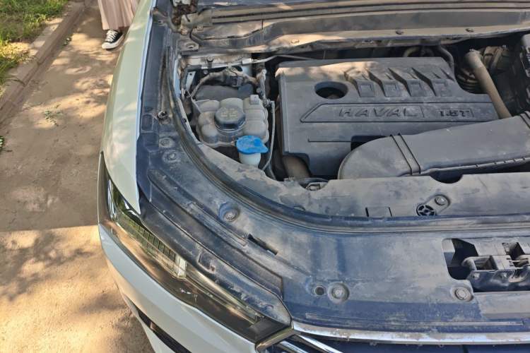 Used Haval H4 2019 1.5 GDIT DCT Elite Smart Connectivity Version China VI Engine Bay Right