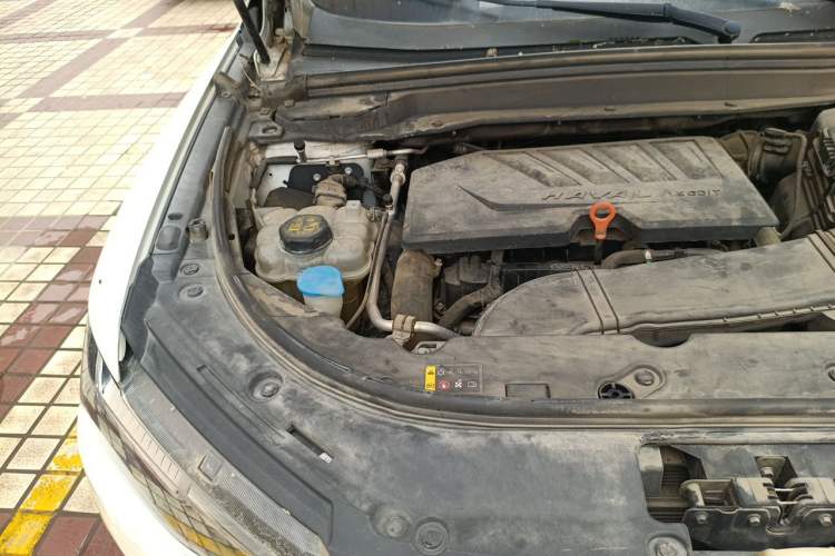 Used Haval H4 2019 1.5 GDIT DCT Luxury Smart Connectivity Version China VI Standard Engine Bay Right