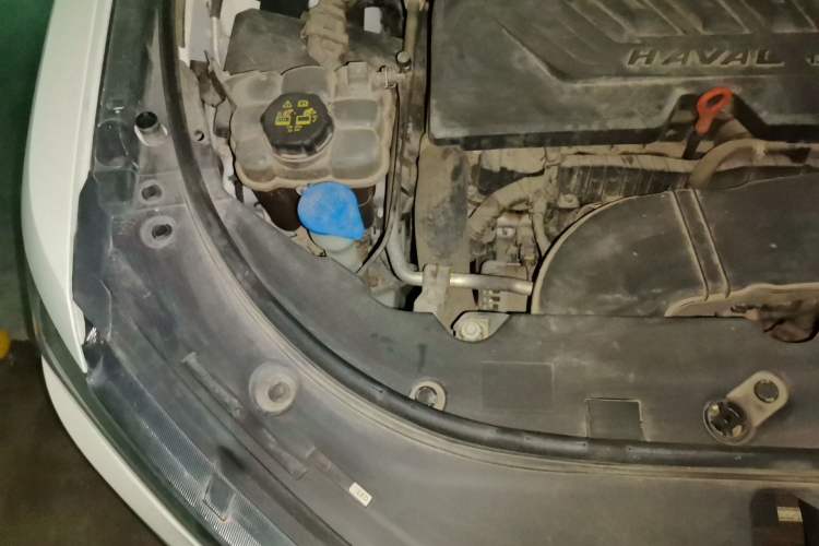 Used Haval H4 2019 1.5 GDIT DCT Luxury Smart Connectivity Version China VI Standard Engine Bay Right