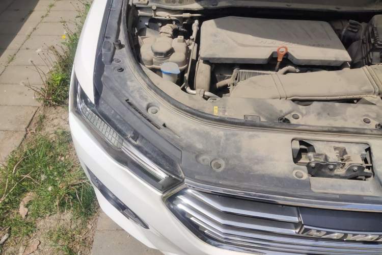 Used Haval H4 2019 1.5 GDIT DCT Luxury Smart Connectivity Version China VI Standard Engine Bay Right