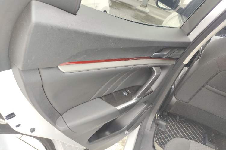 Used Haval H4 2019 1.5 GDIT DCT Elite Smart Connect Version China V Standard Left Rear Door Interior