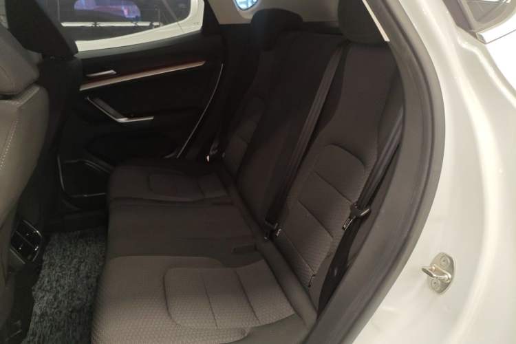 Used Haval H4 2019 1.5 GDIT DCT Elite Smart Connect Version China V Standard Left Rear Seat