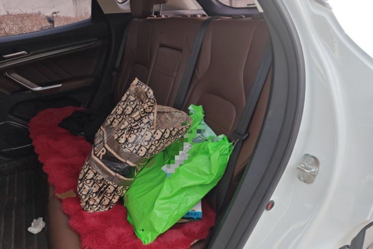 Used Haval H4 2019 1.5 GDIT DCT Ultra-Luxury Smart Connectivity Version China V Standard Left Rear Seat