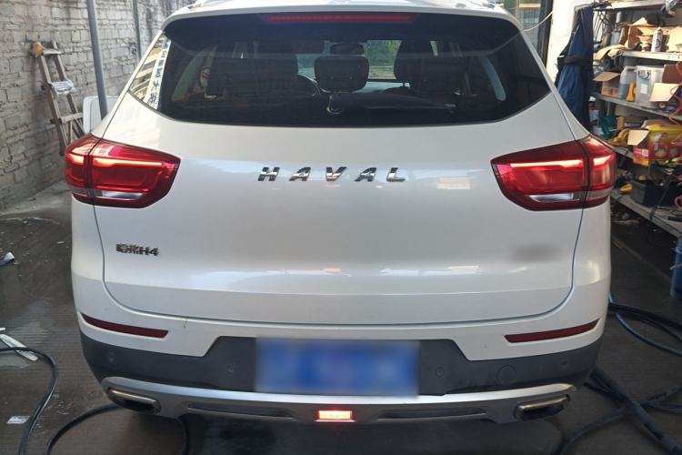 Used Haval H4 2019 Red-Label 1.5 GDIT DCT Luxury Smart Connectivity Model Rear