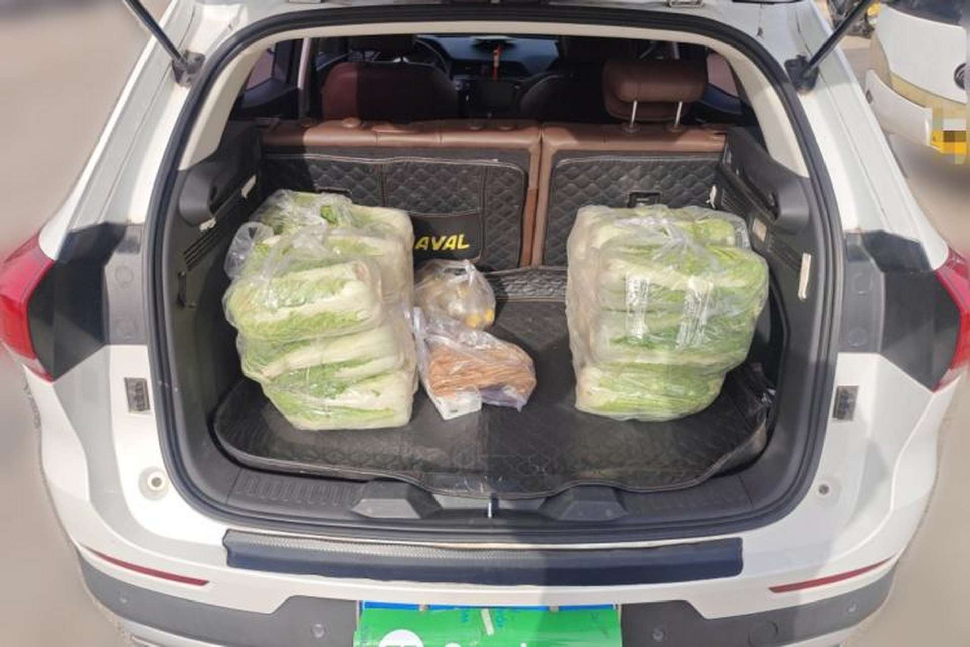 Used Haval H4 2019 1.5 GDIT DCT Ultra-Luxury Smart Connectivity Version China V Standard Trunk