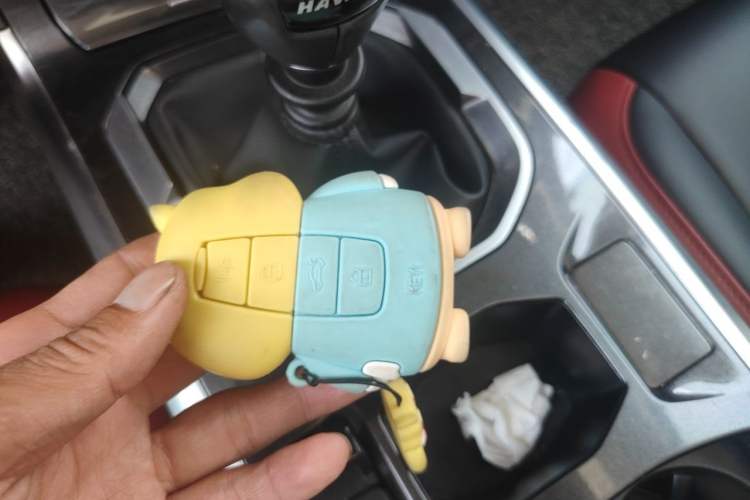 Used Haval H4 2019 1.5 GDIT Manual Luxury Smart Connect Version China V Standard Vehicle Key