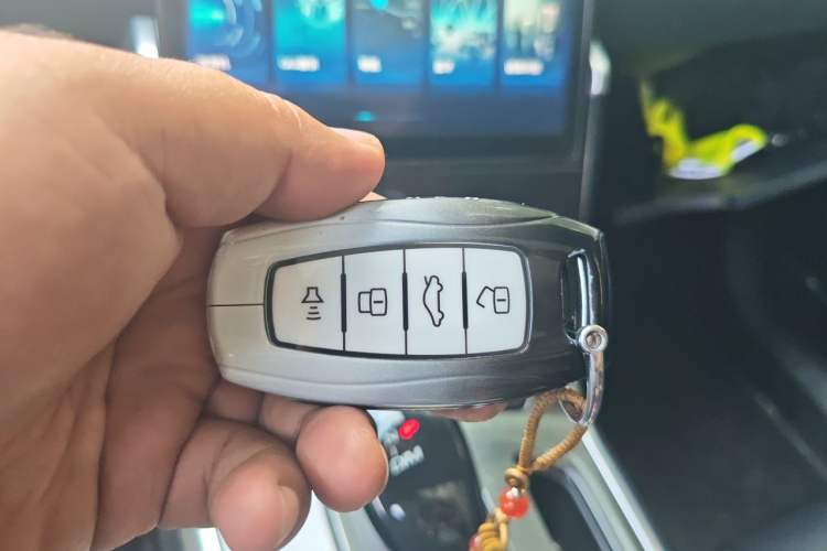 Used Haval H4 2019 1.5 GDIT DCT Elite Smart Connectivity Version China VI Vehicle Key