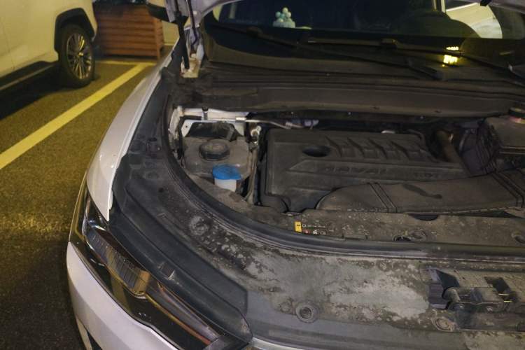 Used Haval H4 2020 Enjoy Edition 1.5T DCT Smart Engine Bay Right