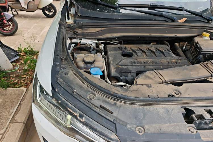 Used Haval H4 2020 Enjoy Edition 1.5T Manual Smart Engine Bay Right