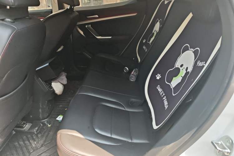 Used Haval H4 2020 Enjoy Edition 1.5T DCT Smart Left Rear Seat
