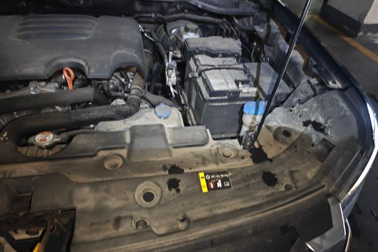 Used Haval H5 2023 2.0T Automatic All-Wheel Drive LinkedIn Gasoline Engine Bay Left
